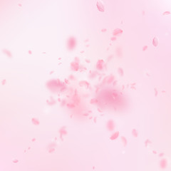 Fototapeta na wymiar Sakura petals falling down. Romantic pink flowers explosion. Flying petals on pink square background. 