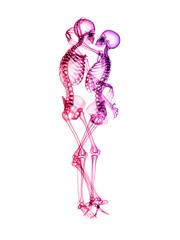 X RAY Skeleton Couple in love 3D Render