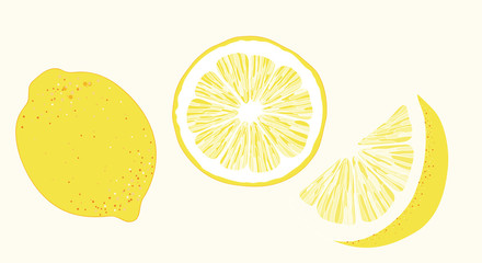 Yellow Lemon Fruit Vector Illustration Element Set