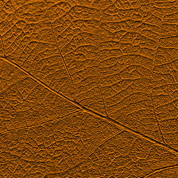 Natural leaf orcher-colored texture with streaky mesh, imitation stamping. May be used as background