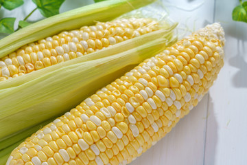 とうもろこし