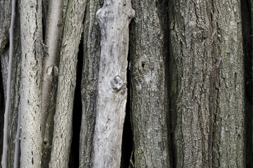 Stack of firewood abandoned for long time outside