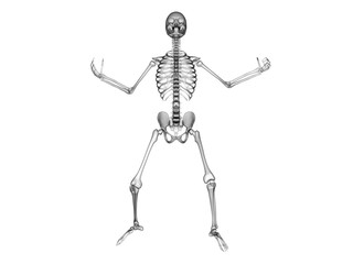 X RAY Skeleton 3D Render