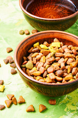 Pet food in bowl
