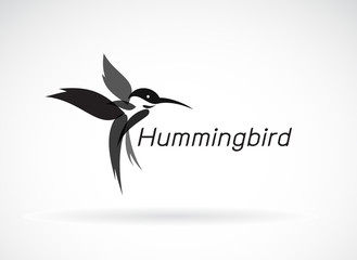 Vector of hummingbird design on white background., Wild Animals. Birds Icon., Easy editable layered vector illustration.