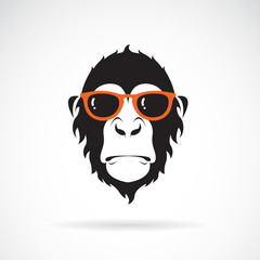Vector of monkey head wearing glasses on white background. Wild Animals. Fashion. Easy editable layered vector illustration.