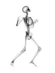 X RAY Skeleton 3D Render