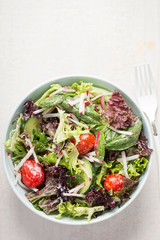 Mixed leaves salad with cocktail tomatoes, cucumber, radish in creamy dressing 