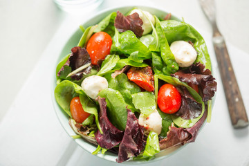 Mixed leaves salad with tomatoes, sun dried tomatoes and mozzarella balls 