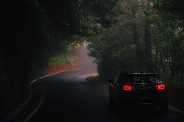 Road Trip by car across magic misty forest of Anaga Rural Park, Tenerife, Canary Islands, Spain