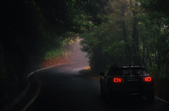 Fototapeta Road Trip by car across magic misty forest of Anaga Rural Park, Tenerife, Canary Islands, Spain