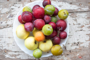 Apricots, early apples, mirabelle,  green plums (ume) and plums. Summer fruits on plate. 
