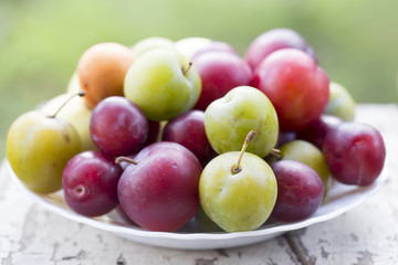 Apricots, early apples, mirabelle,  green plums (ume) and plums. Summer fruits on plate. 