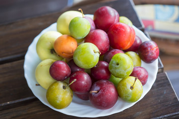 Apricots, early apples, mirabelle,  green plums (ume) and plums. Summer fruits on plate. 