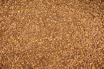 coffee beans background