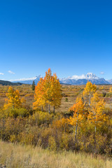 Grand Teton