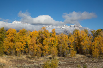Grand Teton