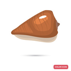 Sea shell cartoon color high quality icon