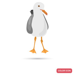 Standing seagull color flat icon