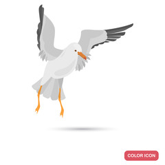 Flying seagull color flat icon