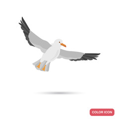 Flying seagull color flat icon