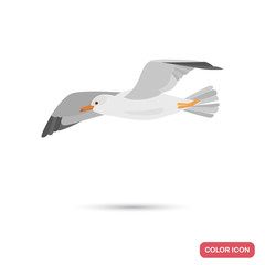 Flying seagull color flat icon