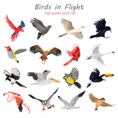 Flying birds high quality icons set