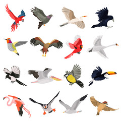 Flying birds high quality icons set