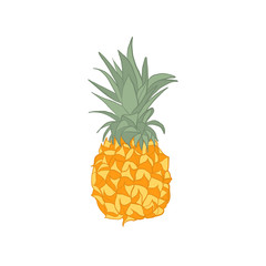 Fresh fruit pineapple in flat style vector.