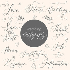 Set of wedding caligraphy words vector.