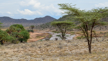 Ewaso Nyiro River in the Samburu National Reserve, Kenya