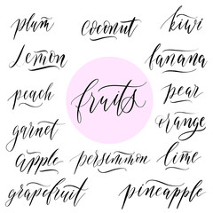 Names of fruits in lettering style vector.