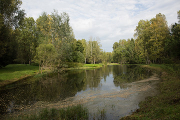 Fototapeta na wymiar Park landscape. Pavlovsk. Suburb Of St. Petersburg. Lake.