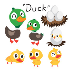 duck vector collection design