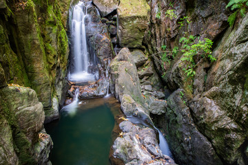 Stanley Force Top Fall and Pool