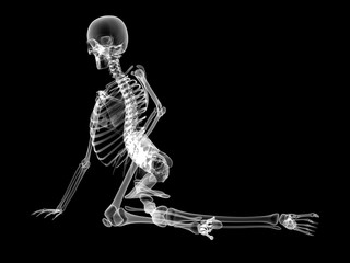 X RAY Skeleton 3D Render