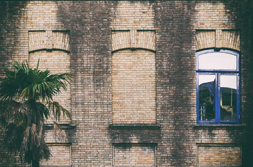 Old brick wall with three windows, two false, one with glass and blue color frame, small palm near building. Toned with retro filter. Abstract vintage style architecture background. Batumi, Georgia.