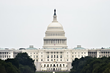United States Capitol Building east facade - Washington DC Unite