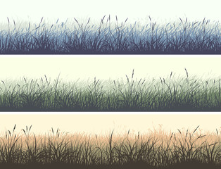 Horizontal color banners of meadow with high grass. - obrazy, fototapety, plakaty