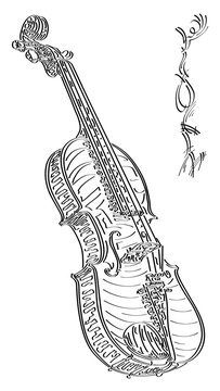 Vector abstract illustration drawing of violin.