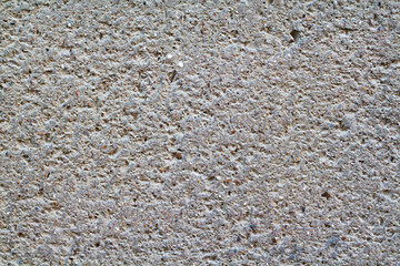 texture wall of cut wild rock of shell rock