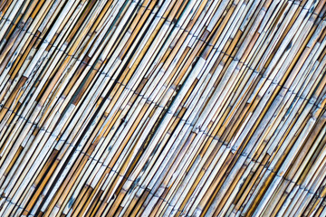 bamboo wicker texture of thin shoots