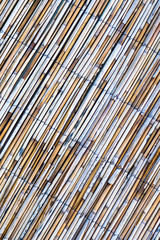 bamboo wicker texture of thin shoots