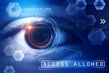 Biometrics, id and access concept