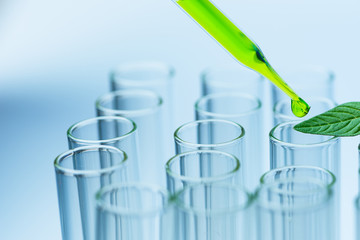 pipette over test tube dropping sample chemical into sample herbal plaint , biotechnoloy research concept