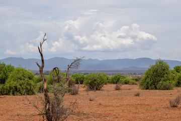 Arid landscapes of Samburu, Kenya