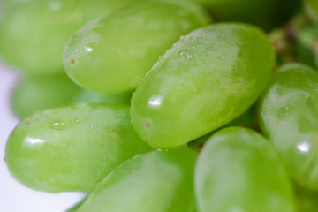 Closeup of big bunch of fresh green table grapes, isolated on white background