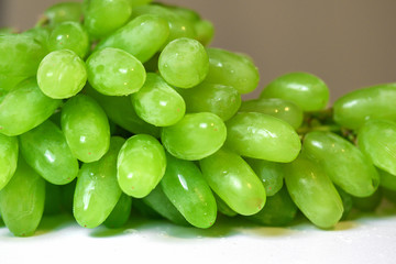 Closeup of big bunch of fresh green table grapes, isolated on white background