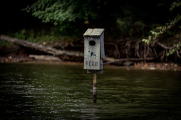 Bird House on Lake