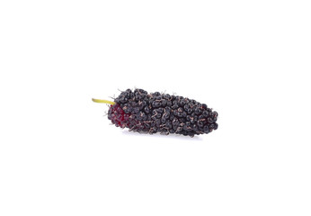 mulberry isolated on the white background